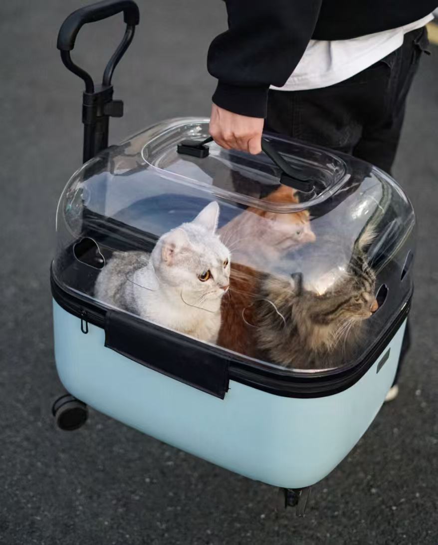 "Minimalist Pet Mobility Pod | 🪐 Curated for Modern Aesthetics🏙️ For City-Savvy Pet Parents